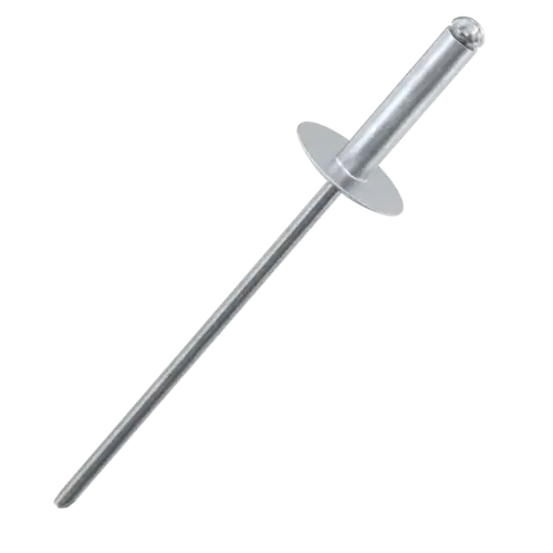 Kniedės platinta galva